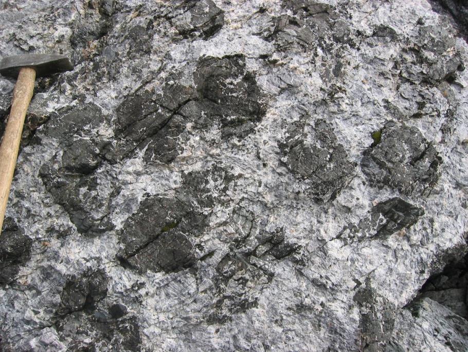 massiv, med brunlig egenfarge. Kontakten til gneissen i sør er meget skarp og det er også store linser av gneiss inne i anortosittmassivet. Figur 21: Megakrystaller av ortopyroksen i anortositt.