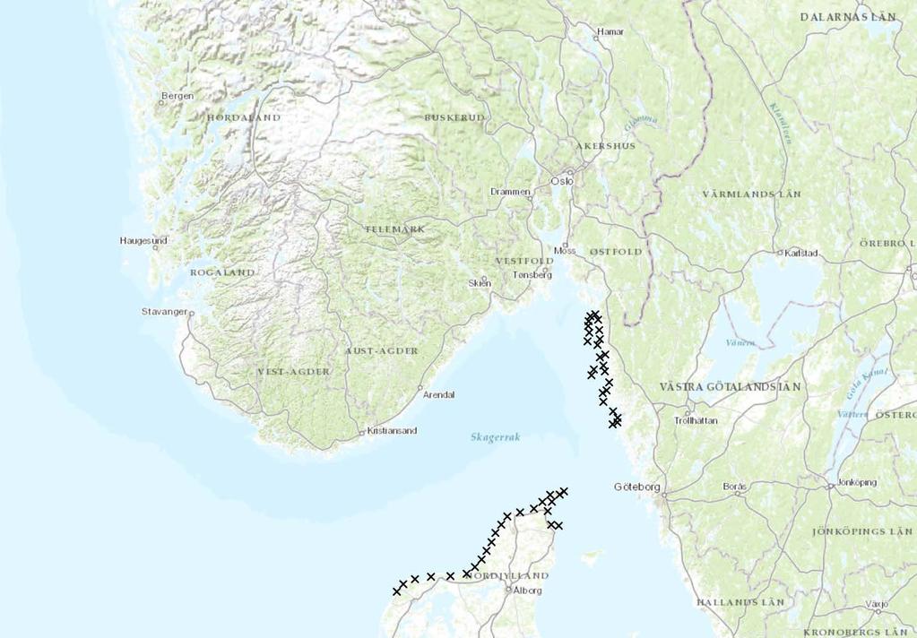 Spredning av larver fra Sverige og Danmark Metodikk: 7 larver fra 44 utslippspunkter hvert av seks år (1990, 1998, 2002, 2006, 2007, 2010) i perioden 1-14 august (308 larver per år)