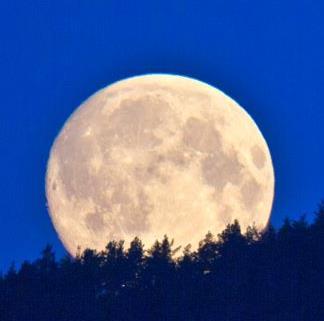 Oppgåve 13 (1 poeng) vstanden frå jorda til månen er ca. 384 000 000 m.