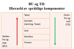 og skriving i dysleksigruppen. Hjernens plastisitet i denne alderen bør utnyttes.