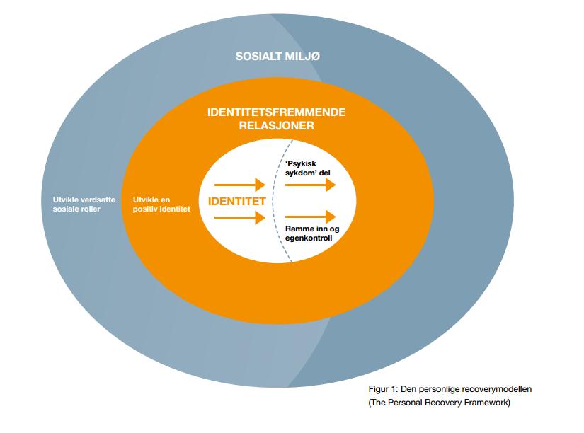 Diskuter den personlige recoverymodellen og de fire