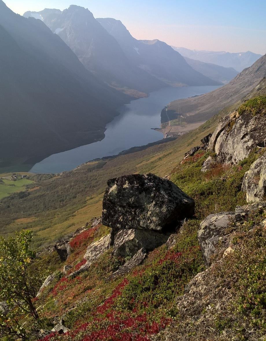 Prosjektrapport Forebyggende tiltak for utsatte sauebesetninger i Lyngen 2016 Av Svein Morten Eilertsen,