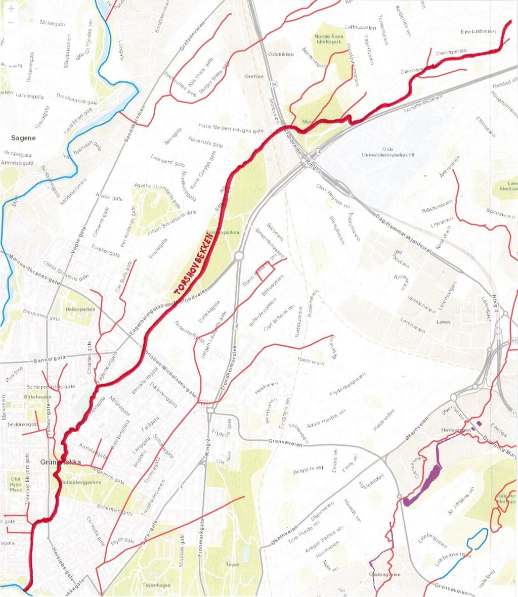 Akersbekken og Torshovbekken er Akerselvas to klart største sidebekker. Torshovbekken, også kalt Rodeløkkbekken og Disenbekken, er 5 km lang. Torshovbekken har sine kilder i Grefsensåsen.