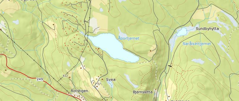 Åbortjernet Beliggenhet: Nord for Nykirke og Ålset i Snertingdal, Gjøvik kommune. Naturtype: Naturlig skogstjern i barskogsbeltet med til dels brede starrbelter.