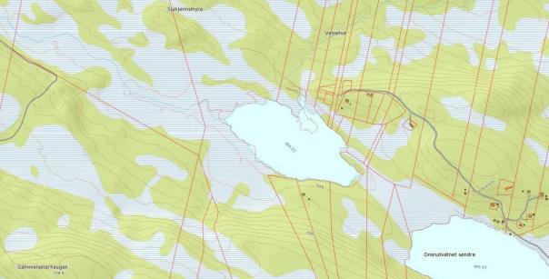 Nordre Onsrudvatnet Beliggenhet: Vatnet ligger nord for Segård, nedre Snertingdal, Gjøvik kommune. Naturtype: Ligger i myrlendt skogsterreng. 694 moh. Vernestatus: Ingen. Fisk: Abbor, ørret, ørekyt.