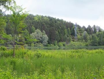 TILTAKSOMRÅDE 5: TUSSEBEKKEN/TUSSETJERN TUSSEBEKKEN/TUSSETJERN Vassdrag: Gjersjøvassdraget Tiltaksområde (PURA): 5 Vannforekomst (Vann-nett): 005-67-R 005-5611-L Beliggenhet: Ski/Oppegård Vanntype: