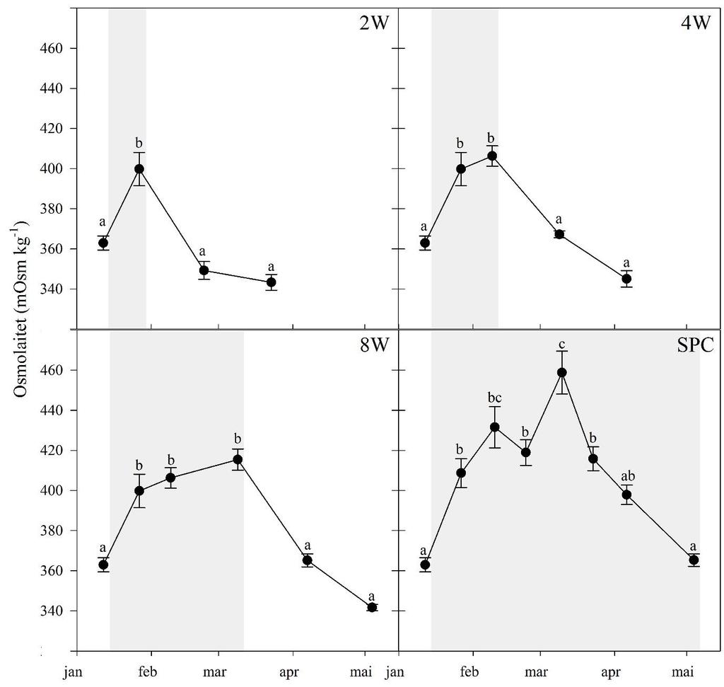 Resultater 3.2 Osmolalitet Alle gruppene hadde en signifikant økning (p 0,05) av osmolalitetskonsentrasjon (mosm kg - 1 ) etter sjøvannstestene i kortdagsperioden (8L:16D).