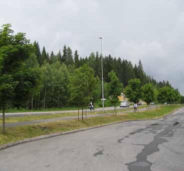 14 Fv. 156 Nessetveien, Vinterbrosenteret Veginfo: Asfaltdekke med hvit- og gul stripe. Fartsgrense 70 km/t. ÅDT 13200. Allélengde: 280 m. Ensidig trerekke, plantet.