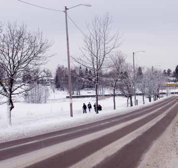 s målpunkt: Vinterbrosenteret. Landskapsbildet: Trerekken er lite eksponert med handlesenter og skog i omgivelsene. Kulturmiljø: Handlesenter. Vegmiljø: Trærne virker linjeførende for vegen.