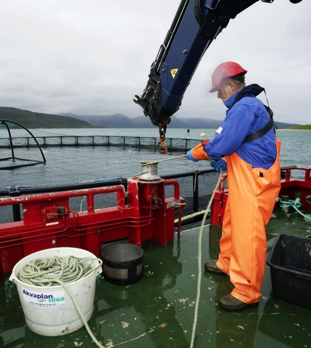 Akvakultur Våre tjenester Lokalitetsundersøkelser Miljøovervåking