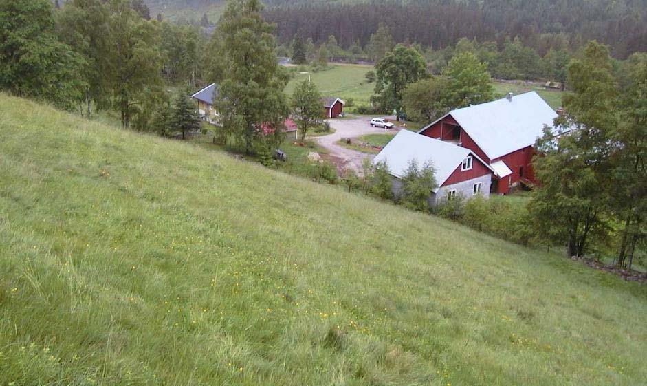 3.7 Dale, gnr 6 bnr 2, Åmli kommune Gården Dale ligger ved enden av Tovdalsveien.