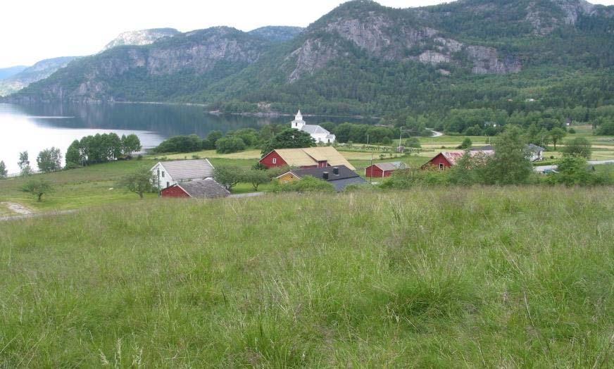 3.9 Haugen, gnr 31 bnr 1, og Haugtun, gnr 30 bnr 4, Bygland kommune Engene på Haugen og Haugtun ligger begge nordvestlig eksponert i lia ned mot Åraksfjorden, med utsikt over Sandnes.