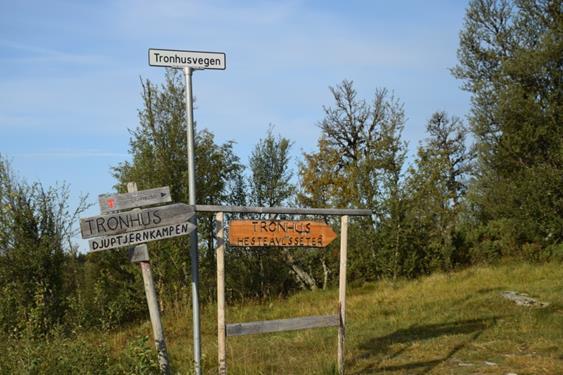 vernekomplekset. På den måten skiller Liomsetervegen seg fra Vestfjellvegen. Området er også utgangspunkt for turer i alle retninger inn i nasjonalparken.