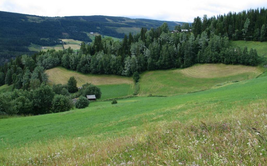 3 RESULTAT Øygarden i Skrautvål har et av de mest komplette gårdstuna i materialet med