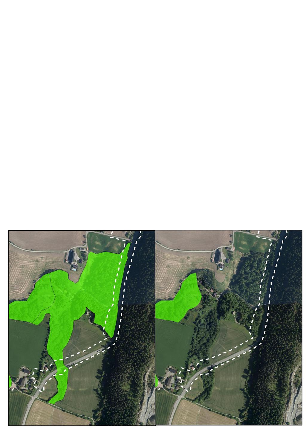 9 Yngre granskog dominerer skogbildet langs vegen med innslag av gråor-heggeskog langs bekken i den nordre og søndre delen. Feltsjiket består for en stor del av hødstauder.