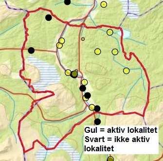 Meldal I Meldal ble det registrert aktivitet på 11 lokaliteter høsten 2017 med estimert antall på 27 dyr. I 2005 var det registrert aktivitet på 7 lokaliteter med estimert antall på 26 dyr (tabell 3).