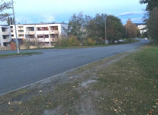 Dette vil være den mest naturlige ruten for elever fra Bjørndalen/Okstadøy, Saupstadbrinken og Midteggen.