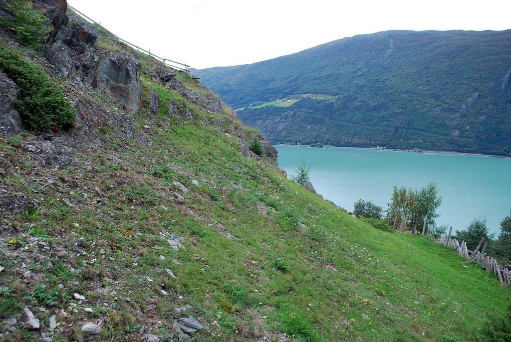 Figur 9. Kalkrik tørr beiteeng og kalkberg ved Ulvsbu i Nordherad, Vågå kommune. Foto: Harald Bratli 2011. 2.1.3.