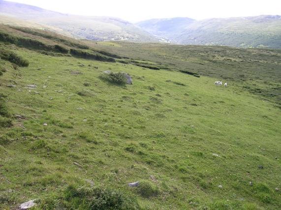 Kalkrik, lavalpin naturbeitemark omgitt av lyngdominert fjellhei kan noen ganger være vanskelige å