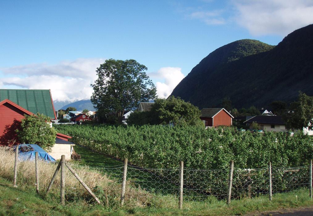 10.18 Planomtale. Detaljregulering Bustader for funksjonshemma i Vik side 5 5.3 Terreng, landskap, vegetasjon: Det er høgdeskilnad på ca 2-2,5m i området. Sjå planprogram.