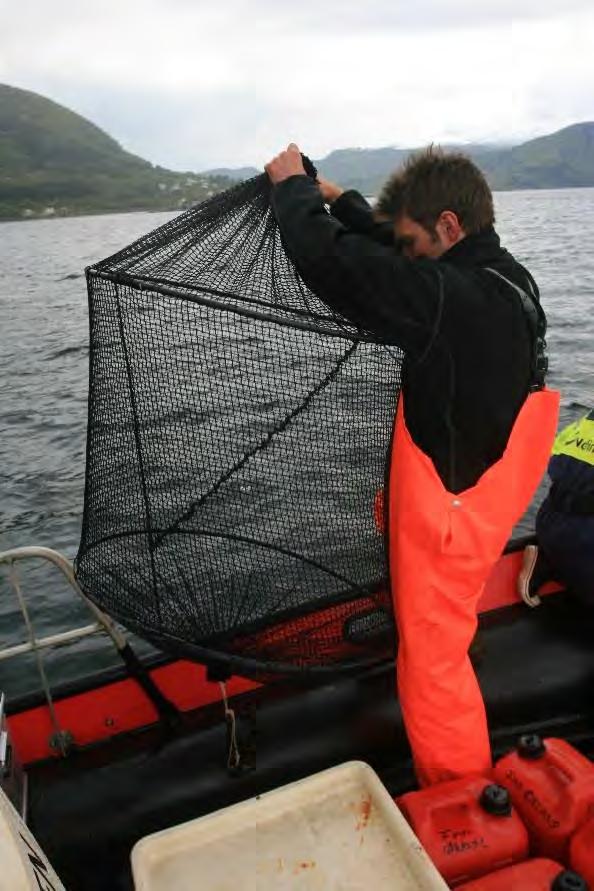 4 Metoder 4.3 Databehandling Figur 6. Bilde av vaktbur før setting i Romsdalsfjorden. Foto: Rune Nilsen.