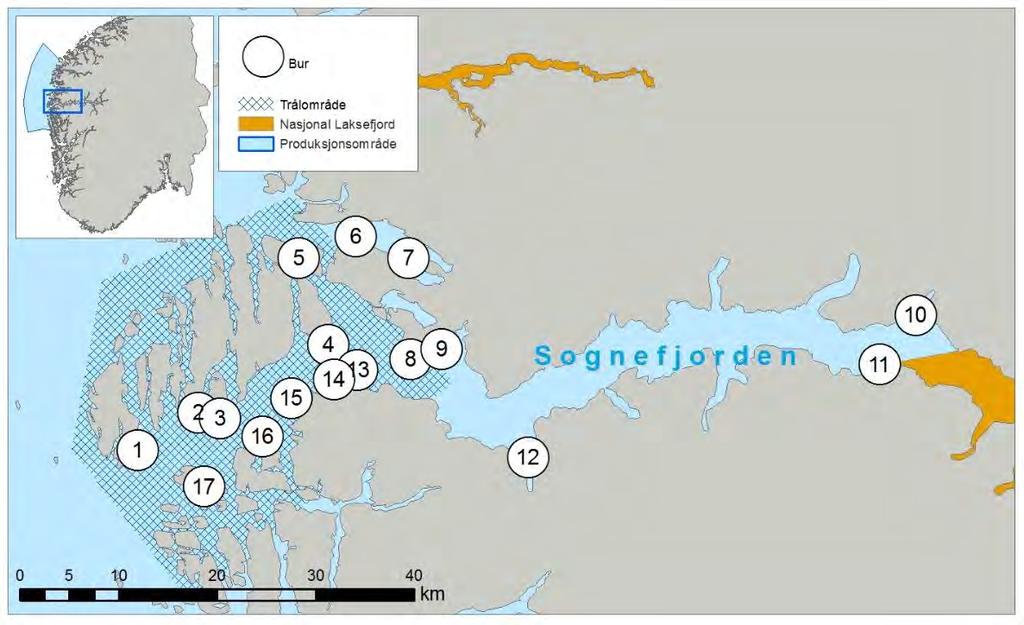 Figur 19. Område for tråling av postsmolt laks og plassering av vaktbur i Sognefjordsystemet. Figur 20.