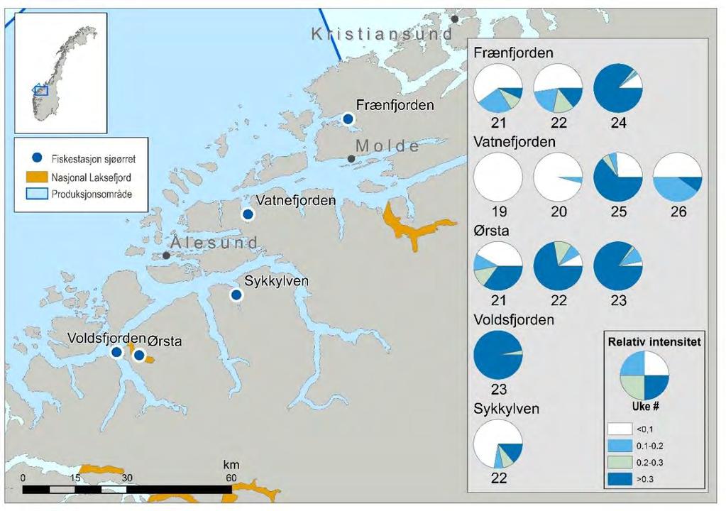 I den sørlige delen av produksjonsområdet (Sunnmøre) ble Ørsta ble valgt til fast stasjon for rusegarnfiske, mens Sykkylven og Voldsfjorden ble undersøkt som varslingsstasjoner.