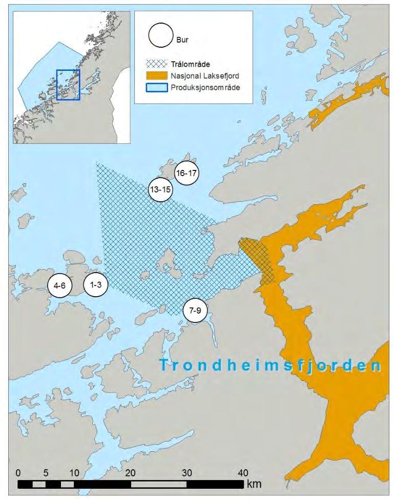Figur 29. Område for tråling av postsmolt laks og plassering av vaktbur i Trondheimsfjordsystemet Figur 30.