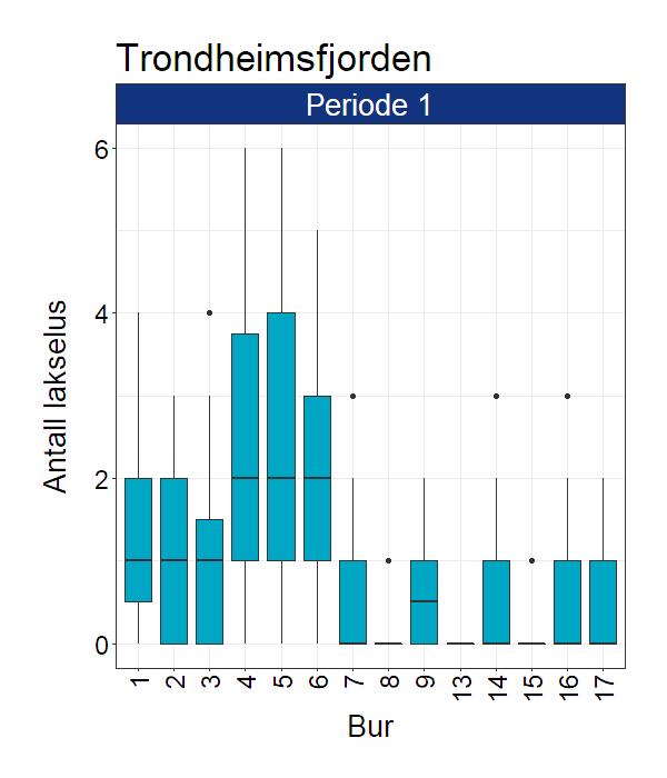 Figur 32. antall lakselus (a) relativt antall lus (lus/vekt) (b) og stadiefordeling (c) på stasjonene hvor sjøørret ble undersøkt i Trondheimsfjordsystemet.