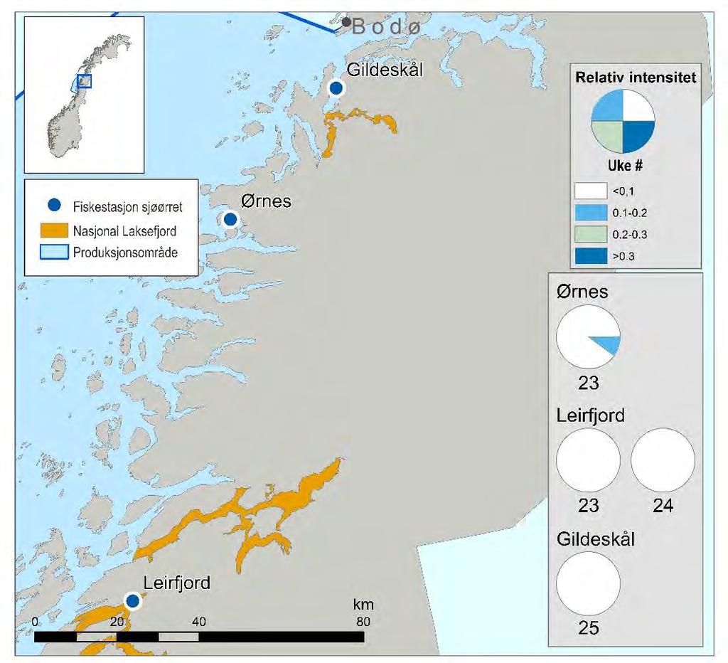 5.8 Nordland sør (PO 8, Helgeland til Bodø) Leirfjord øst for Sandnessjøen ble valgt som fast stasjon for ruse- og garnfiske i Nordland sør og ble undersøkt i uke 23 og 24.