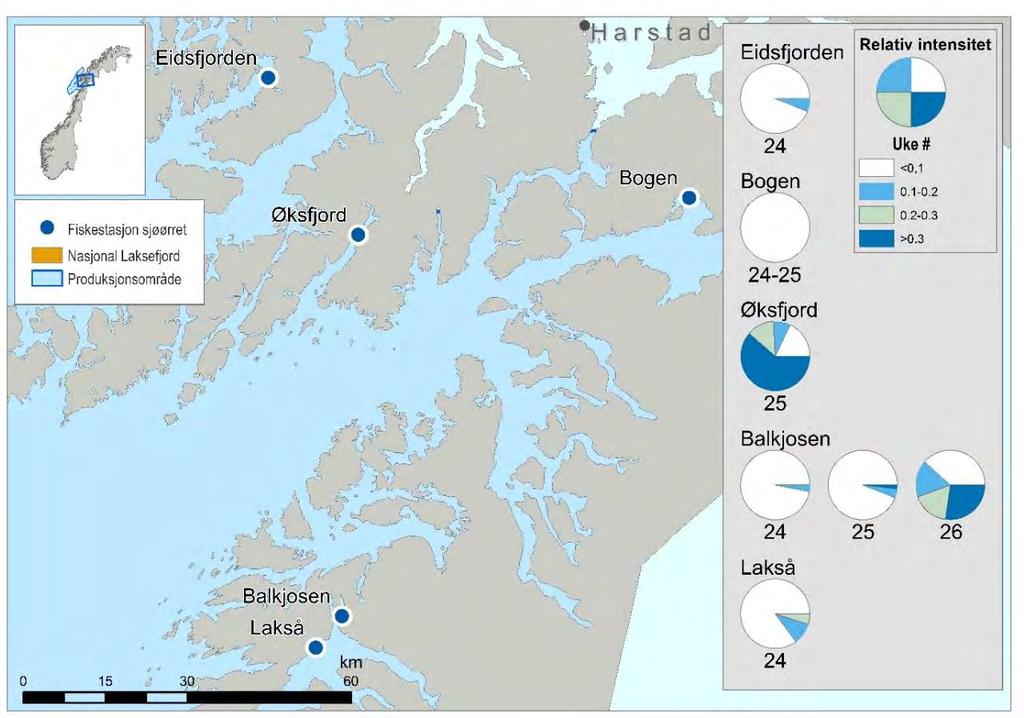 Figur 40. Kart over stasjoner for ruse og garnfangst av sjøørret i Nordland nord. Sektordiagrammet illustrerer relativ mengde lus på sjøørret.