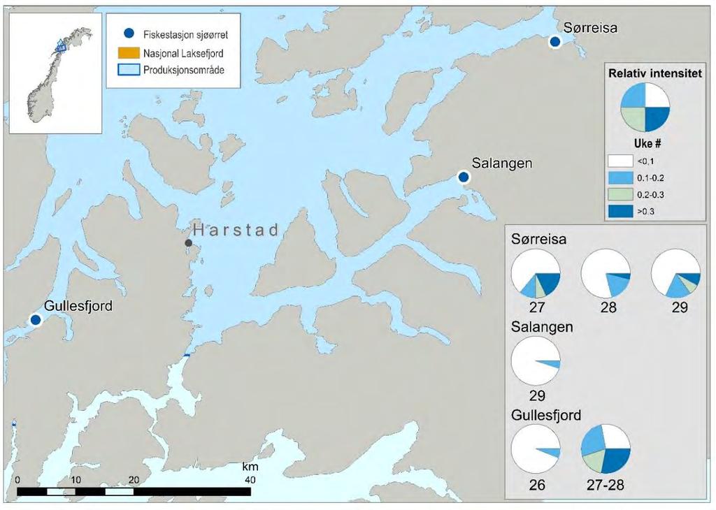 5.10 Troms sør (PO 10, Andøya til Senja) Sørreisa i Midt-Troms ble valgt som fast stasjon for ruse- og garnfiske i Troms sør, mens Gullesfjord på Hinnøya og Løksebotn i Salangen ble undersøkt som