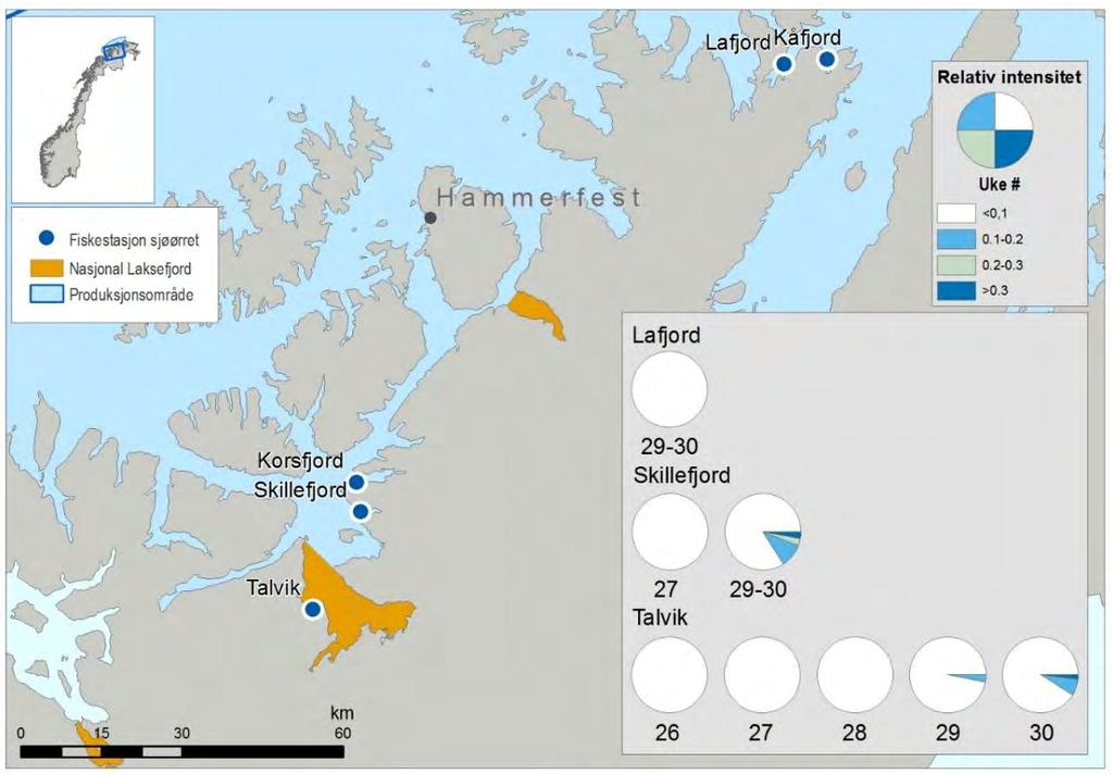 Figur 48. Kart over stasjoner for ruse og garnfangst av sjøørret i Finnmark vest. Sektordiagrammet illustrerer relativ mengde lus på sjøørret.