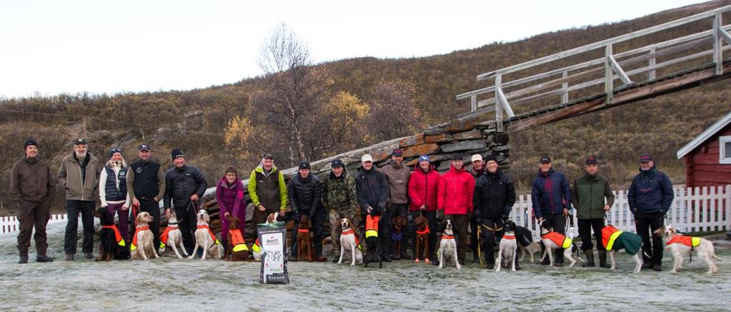 Dreiebok Finale Sølvhundprøven 2016. Kongsvold 30.9-2.