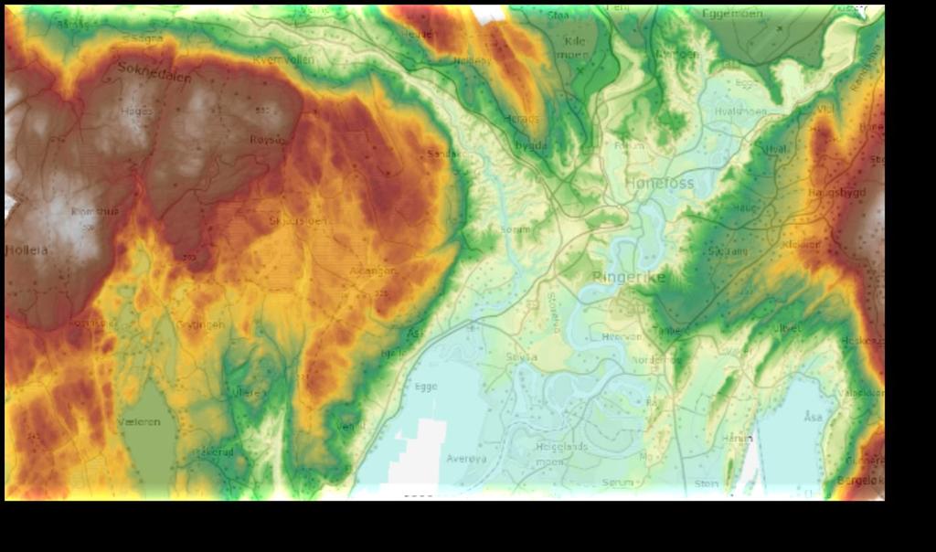Landsdekkende Høydemodell Terreng- og