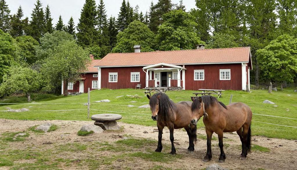 Verdiskapningsprogram Bygdeutvikling 9,5 mill Finnskogen Natur - & kulturpark 1 mill Pro park