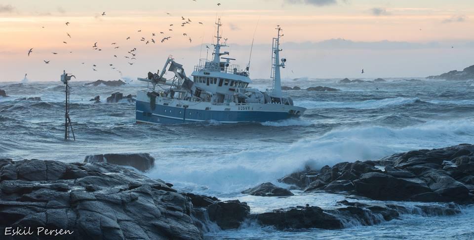 Fiskerihavner Trygge og gode fiskerihavner er en forutsetning for næringsutvikling i de fleste kystsamfunn Fiskeflåten er i utvikling mot større og mer plasskrevende fartøy