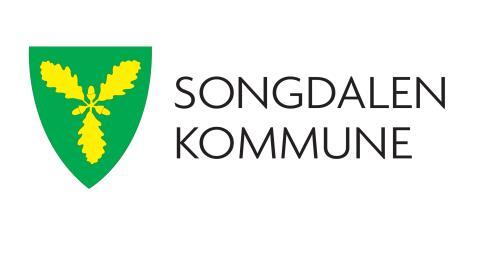 Songdalen Kommune Vatneli Renseanlegg Søknad