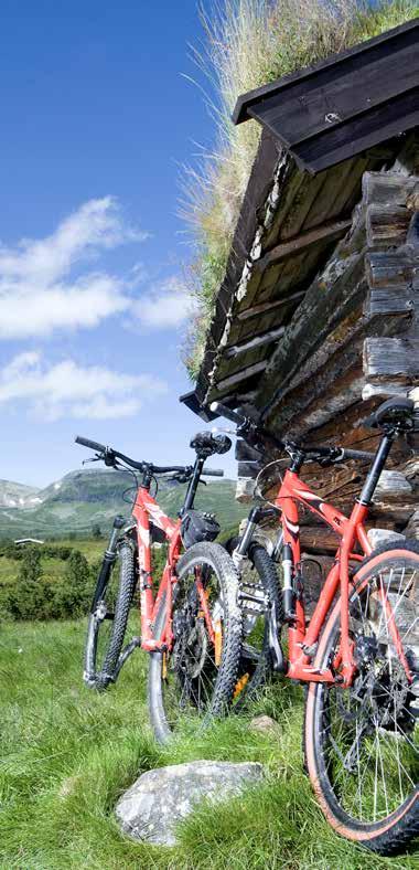 SYKKEL BIKING Hemsedal er et glimrende utgangspunkt for flotte sykkelturer.