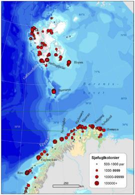 Figure 5. Left: Registered seabird colonies ( sjøfuglkolonier ) above 500 pairs in the Norwegian part of the Barents Sea (Source: Systad and Strøm, 202).