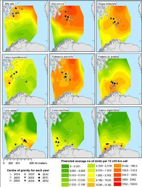 Many bird populations are currently declining, also in the Barents Sea.