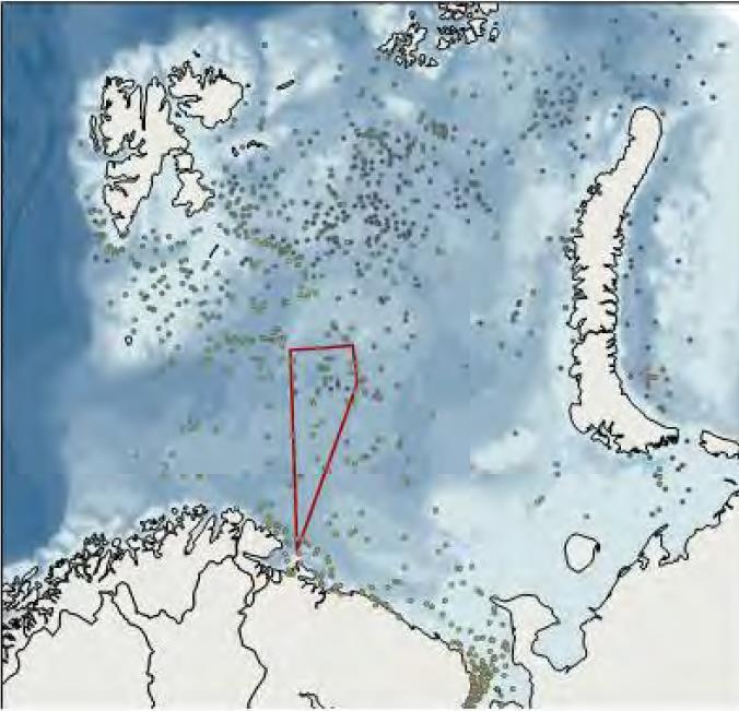 Grazing areas for Minke whale and fin whale also include the shallow banks north in the Barents Sea South-East area.