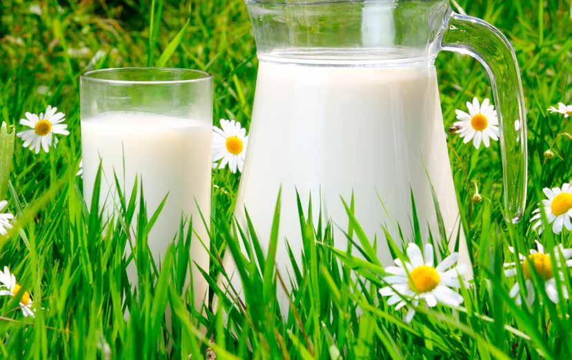 Melk Markedssituasjonen I 2012 ble det produsert 1 531 mill. liter kumelk. Dette var 55 mill. liter mer enn i 2011, en økning på 3,7 prosent. Kvoteåret for kumelk startet 1.