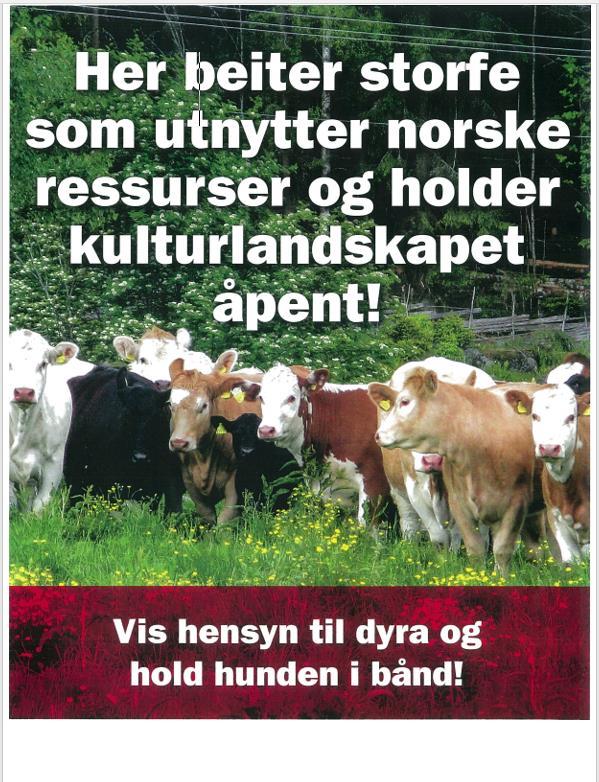Informasjon Drammens Tidende - Jogger angrepet av ku 1.https://www.dt.no/nyheter/joggerangrepet-av-ku-1.8515305 19. jul.