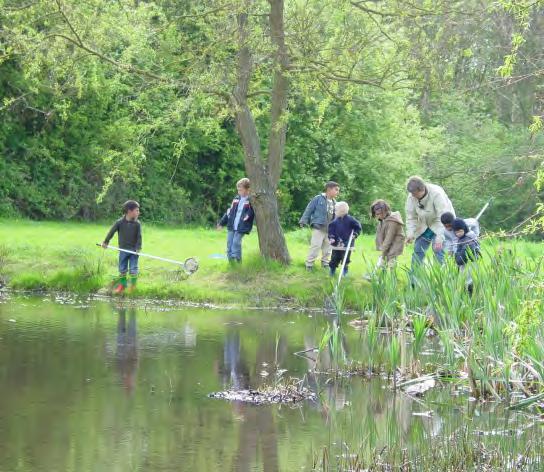 (flora/fauna) Skape identitet og liv i by- og landskapsrommet Redusere