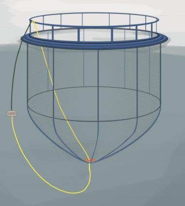 3. Montering av dødfiskhåv med utvendig håvtau En dødfiskhåv montert med utvendig håvtau betyr at håvtauet går på innsiden av notposen, ut gjennom senter av notposens bunn og opp på