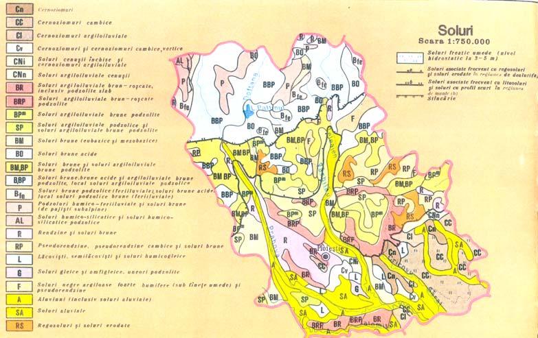 Precipitaţiile sunt repartizate neuniform, ca urmare a marilor depsebiri altitudinale ale reliefului, oscilând între 588 mm anual în câmpie şi 1.346 mm anual pe crestele înalte ale munţilor.