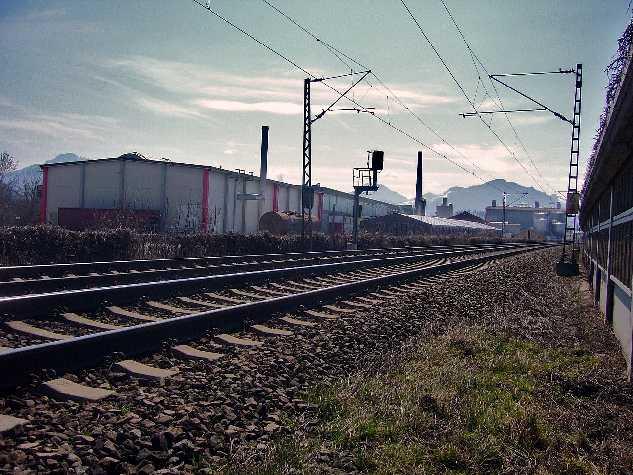 Roba Corruated Formatwerk für Wellpappe Foto Bund Naturschutz