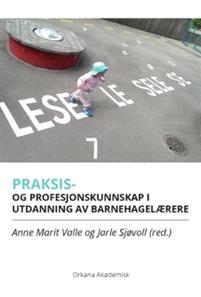 Last ned Praksis- og profesjonskunnskap i utdanning av barnehagelærere Last ned ISBN: 9788281042551 Antall sider: 164 Format: PDF Filstørrelse:20.