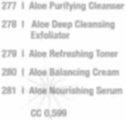 Aloe Deep Cleansing Exfoliator 279 I Aloe